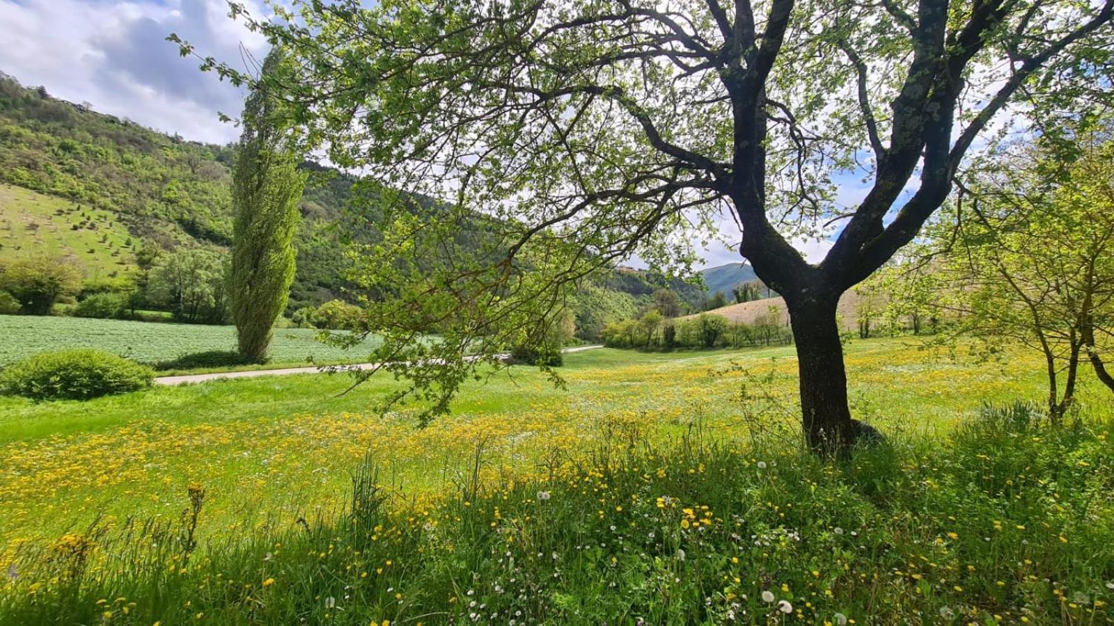 Casa Zia Cianetta Residenza Di Campagna Guest House Capodacqua  Bagian luar foto