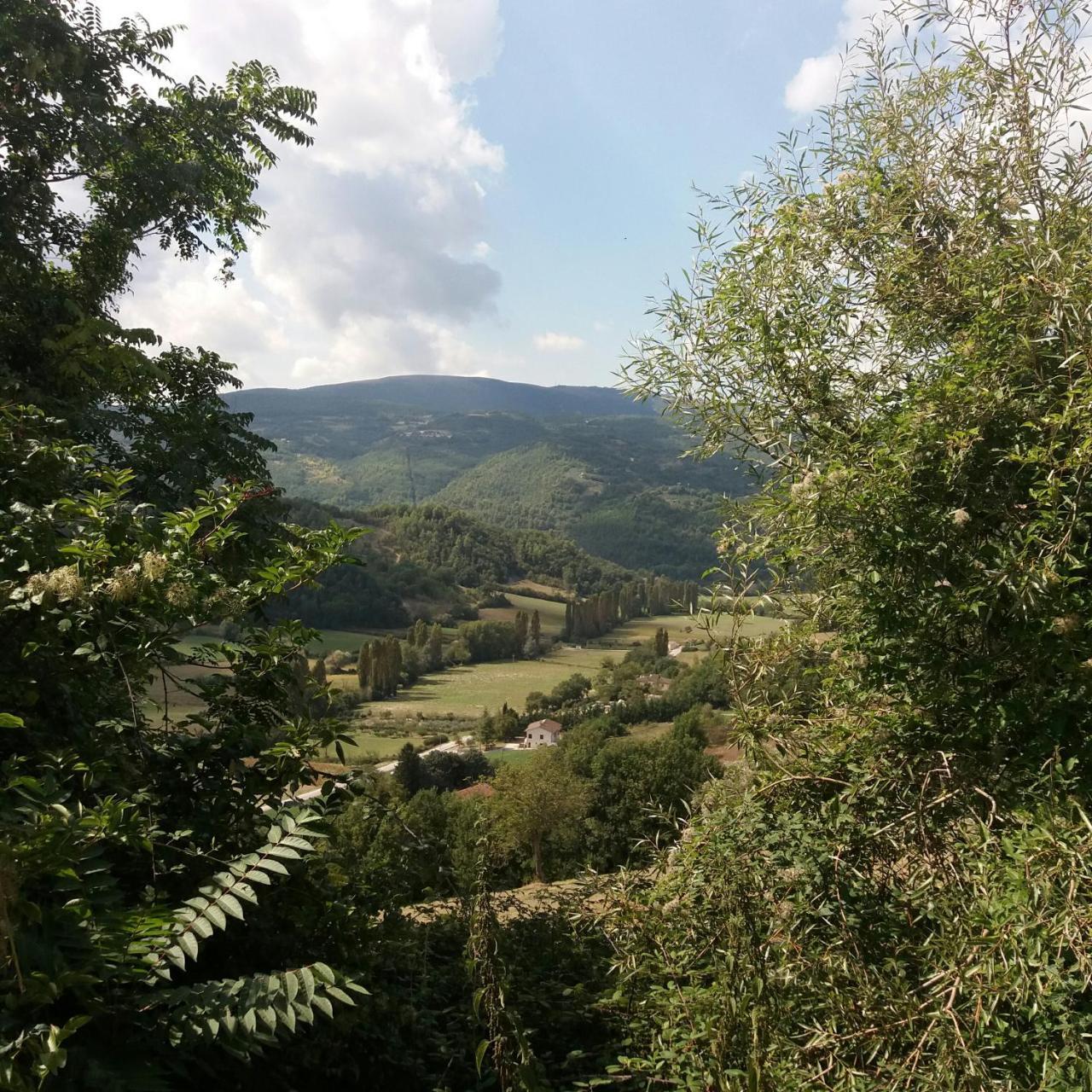 Casa Zia Cianetta Residenza Di Campagna Guest House Capodacqua  Bagian luar foto